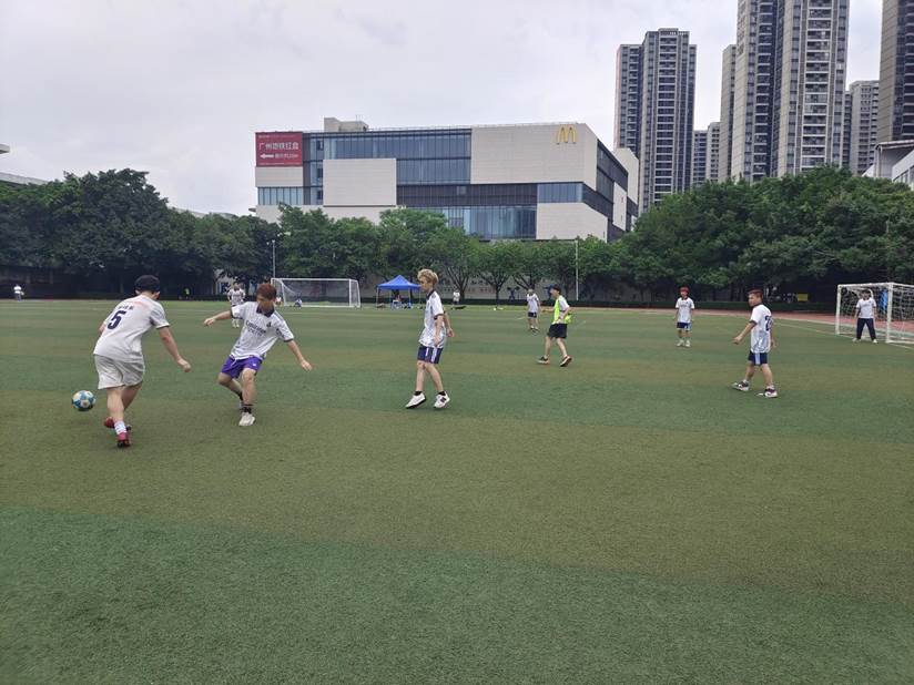 d2f6dc185e9a226a26ca6dd687dfe49