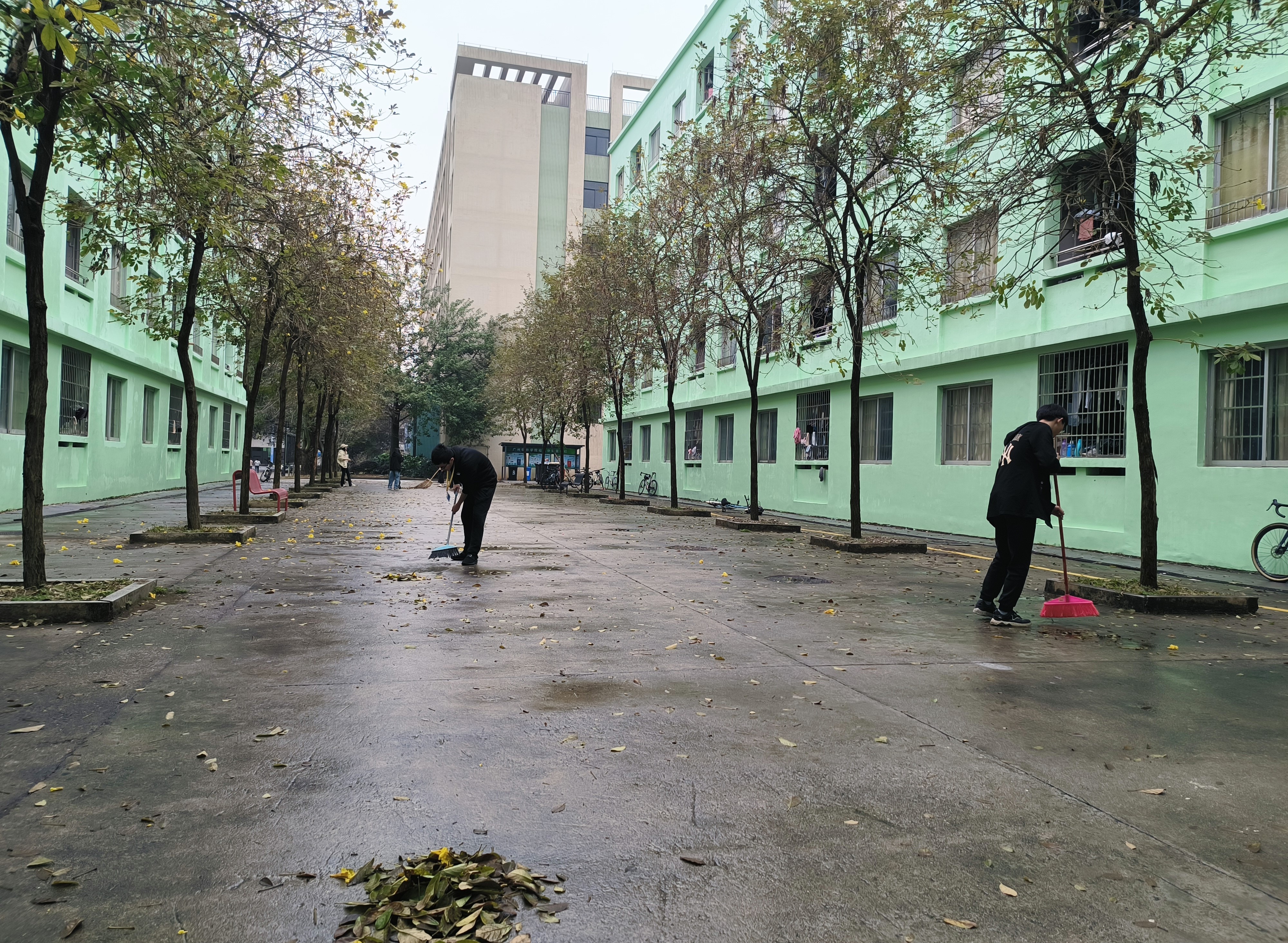 志愿情系雷锋月，美化校园展新颜