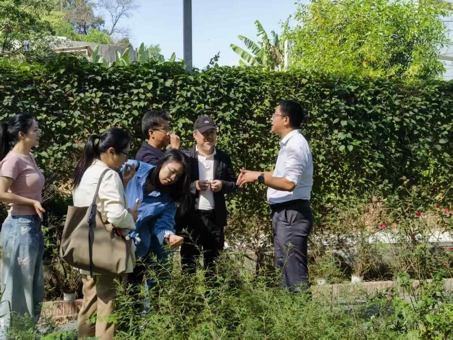 参观芳香植物实训 参观芳香植物实训